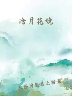 沧月花镜