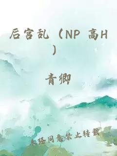 后宫乱（np 高h）