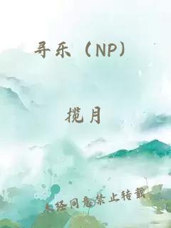 寻乐（np）