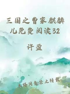 三国之曹家麒麟儿免费阅读32